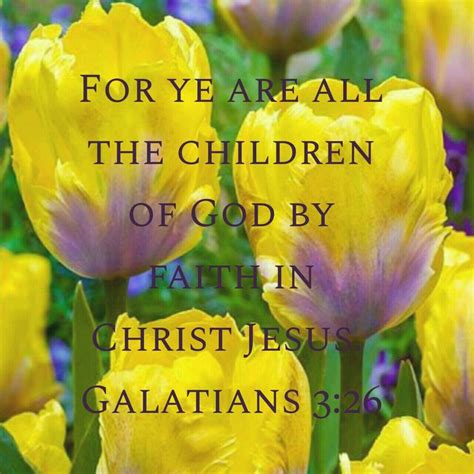 Galatians 326 The Good Shepherd King James Bible Scripture Cards
