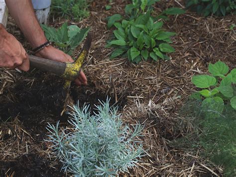 Diy Worm Towers Food Matters