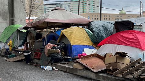 Harrisburg Homeless Encampment Mostly Cleared Out City To Begin