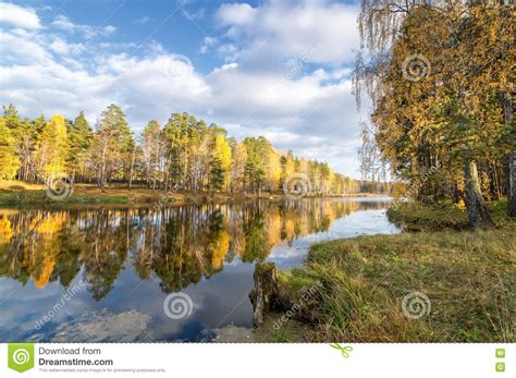 Panorama Of Beautiful Autumn Landscape In A Forest With A
