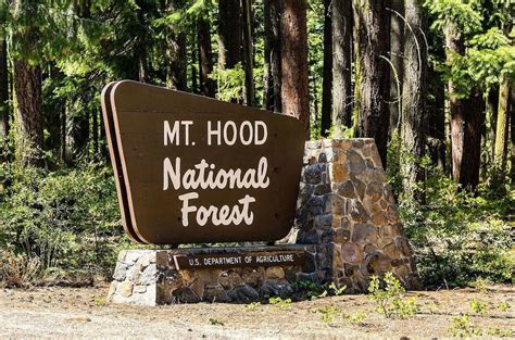 Maybe you would like to learn more about one of these? Dispersed Camping 101: Free camping in the US - Escape ...