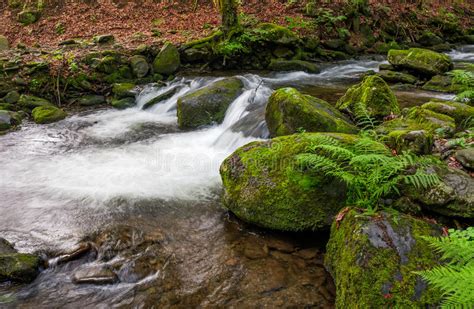 Cascade On The Little Stream With Stones In Forest Stock Photo Image