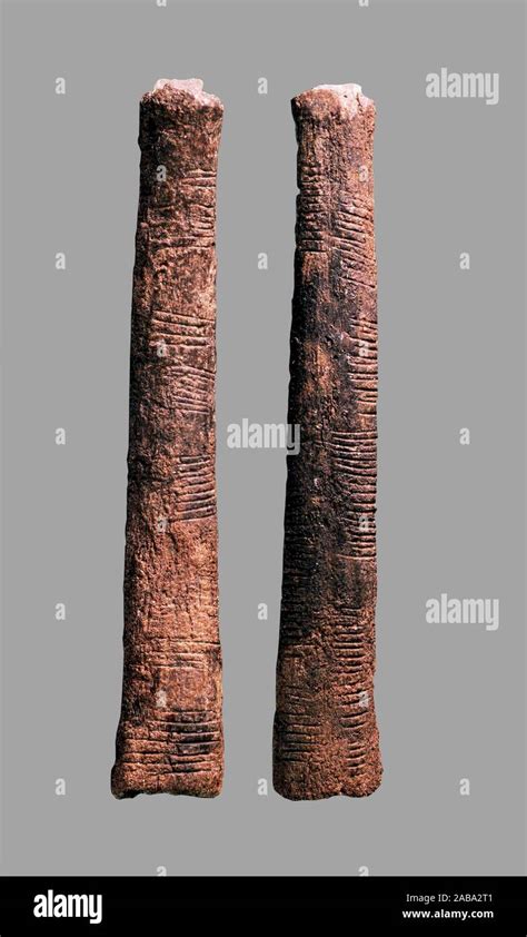 Ishango Bone Perhaps The Oldest Mathematical Artifact Discovered In