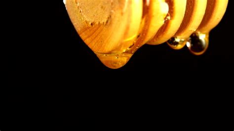 Dripping Honey Photos Stock Videos And Royalty Free Footage Istock