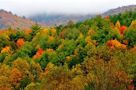 Fall Foliage Official Chamber Planning Informationthe Official Pigeon Forge Chamber Of Commerce