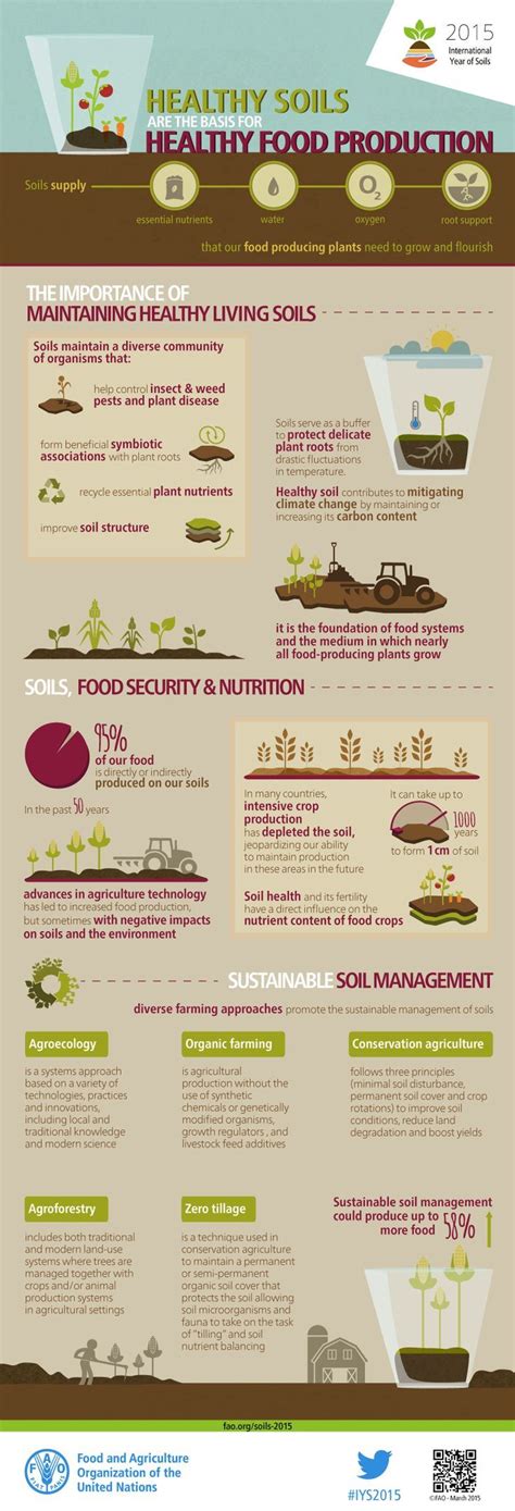 Food Infographic Healthy Soils Are The Basis For Healthy Food