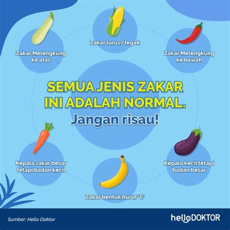 Jenis Zakar Lelaki Paling Lazim Ada 6 Kenali Jenis And Posisi Seks Sesuai