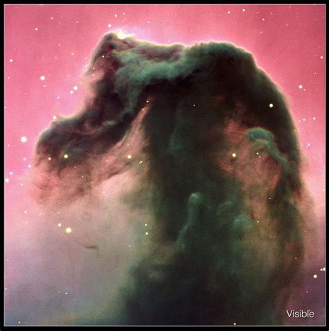 A New Image Of The Horsehead Nebula On Hubbles 23rd Anniversary Via