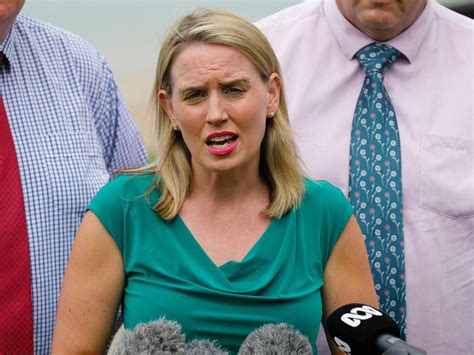 Kate Jones Slams ‘slanderous Claim Regarding Former Labor Minister