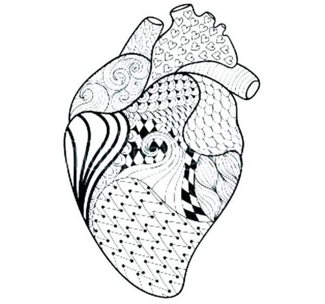 The circulatory system worksheet is from the human anatomy unit study from matchcard science. Circulatory System Drawing | Free download on ClipArtMag