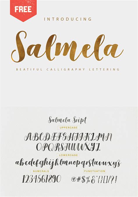 20 Best Free Calligraphy Fonts Download In 2019 Webgyaani