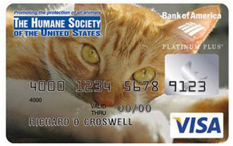 Credit card visa bank of america. Coolest Credit Card Designs