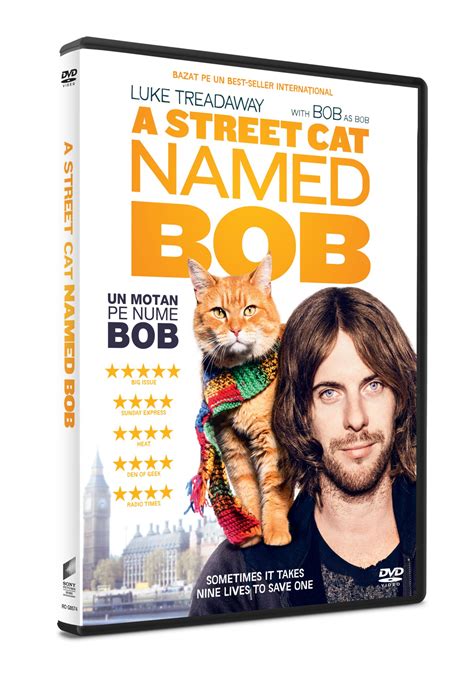 A Street Cat Named Bob Dvd Movienewsro