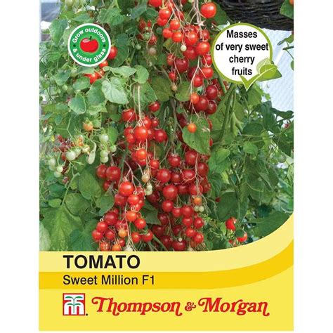 Tomato Sweet Million F1 Hybrid Thirsk Garden Centre