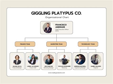 organizational chart template canva