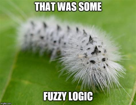 Fuzzy Logic Imgflip