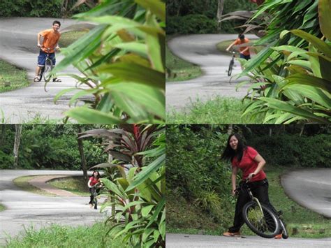 Taman pertanian malaysia bukit cahaya seri alam, 40000 shah alam, selangor, malaysia. Taman Pertanian Malaysia, Shah Alam | Kwong Fei's Blog