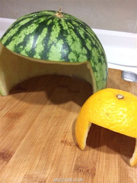 Fifty percent of dog owners and thirty sheldrake demonstrated in his experiments that dogs did seem to perceive when their owner was on the way home. How To Keep Your Pet Safe Using A Watermelon And An Orange
