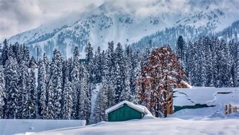 Snow Covered Kashmir Is Truly Winter Wonderland These Serene Pictures