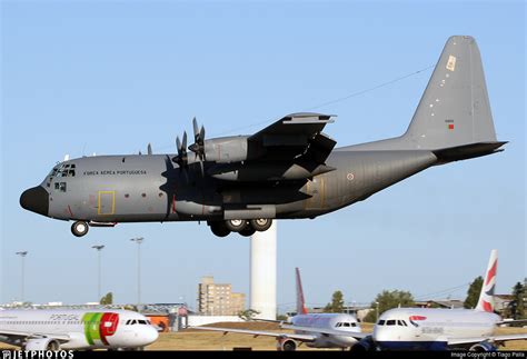 16805 Lockheed C 130h Hercules Portugal Air Force Tiago Palla