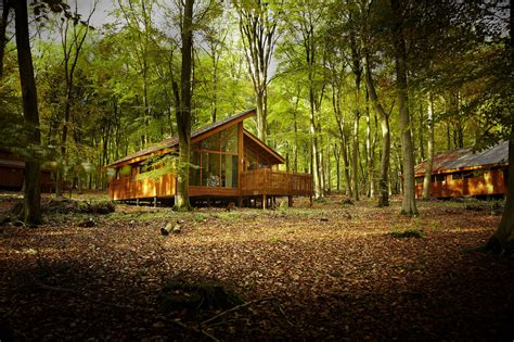 Forest Holidays at Sherwood Pines | Forestry Commission England