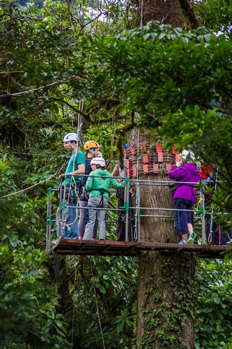 Don't worry, safety is a top priority. canopy-zip-line-monteverde-costa-rica - MONTEVERDE TOURS CR