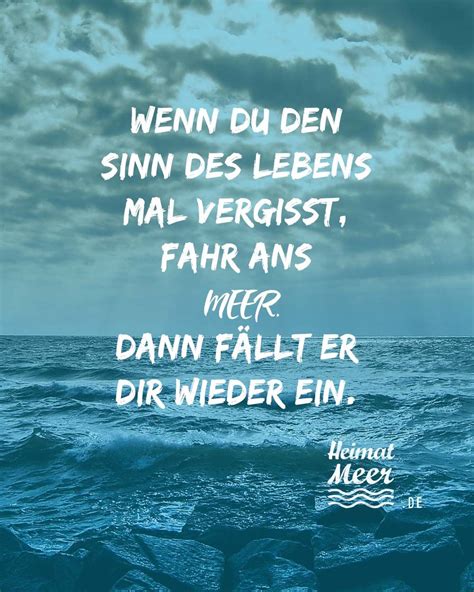 Zitateonline.de +++ der sinn des lebens besteht darin. Wenn du den Sinn des Lebens mal vergisst, fahr ans Meer ...