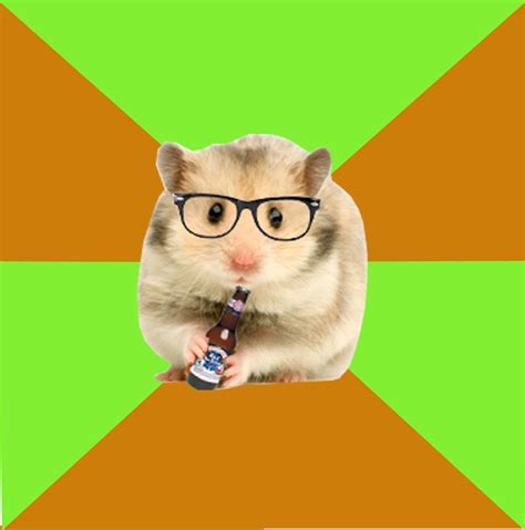 Hipster Hamster Know Your Meme