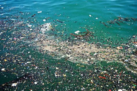 When Waste Adds Up The Great Pacific Garbage Patch The Blue Club
