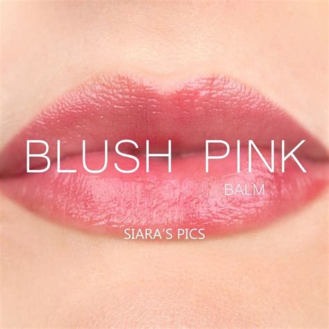 Blush Pink Tinted Lip Balm Rochelle Valle