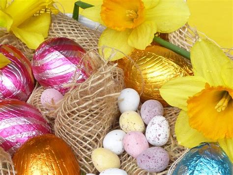 Close Up On Easter Eggs Collected In Basket Creative Commons Stock Image