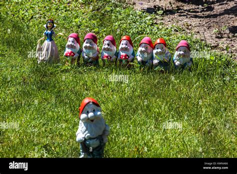 Snow White And The Seven Dwarfs But Rather Eight Garden Gnomes Lady