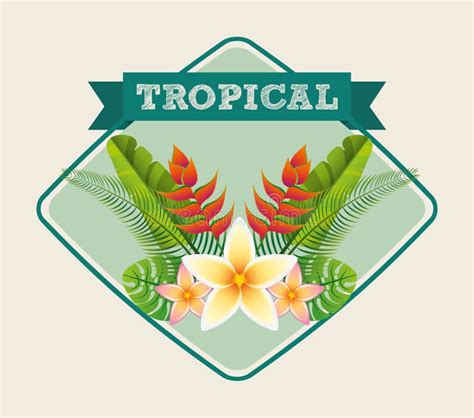 Tropical Paradise Design Stock Illustration Illustration Of Decoration