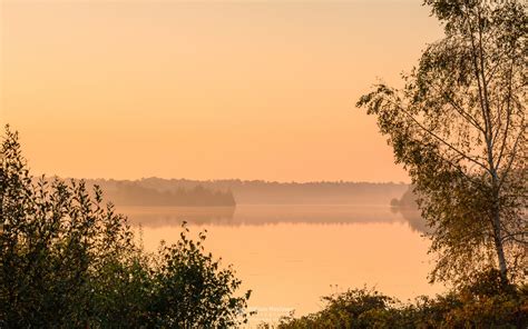 Golden Lake Nature Reserve Reindersmeer National Park De Maasduinen
