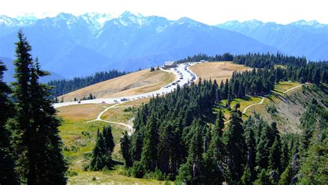 Hurricane Ridge Visitors Should Expect Delays During Road Project