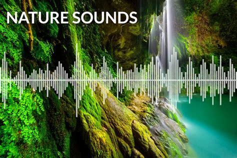 Nature Sounds Natural Sounds For Sleep Relaxing And Meditation