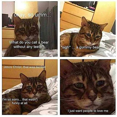 We did not find results for: Cat Memes 2019 - 60 Cat Memes to Inspire You To Take A ...