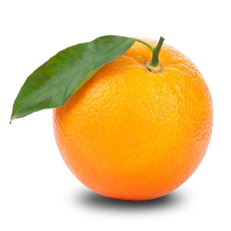 High Quality Images Of Orange Pars Png