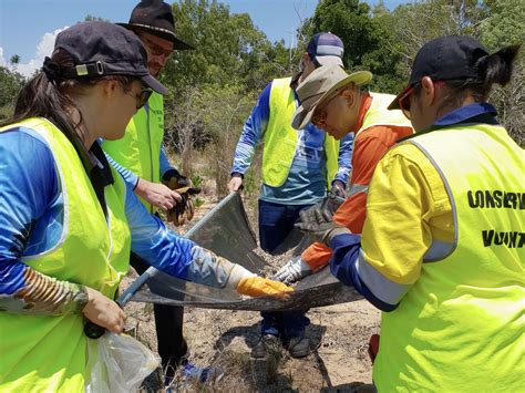 Details 75 About Conservation Volunteers Australia Latest Nec