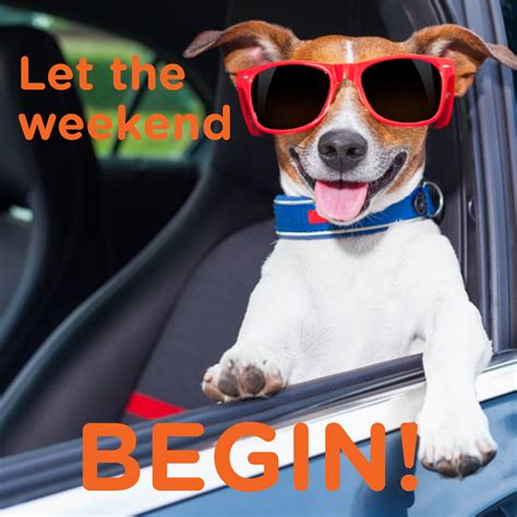 Let The Weekend Begin Saturday Quotes Funny Happy Saturday Quotes