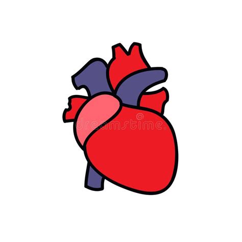 Human Heart Doodle Icon Sticker Vector Color Illustration Stock