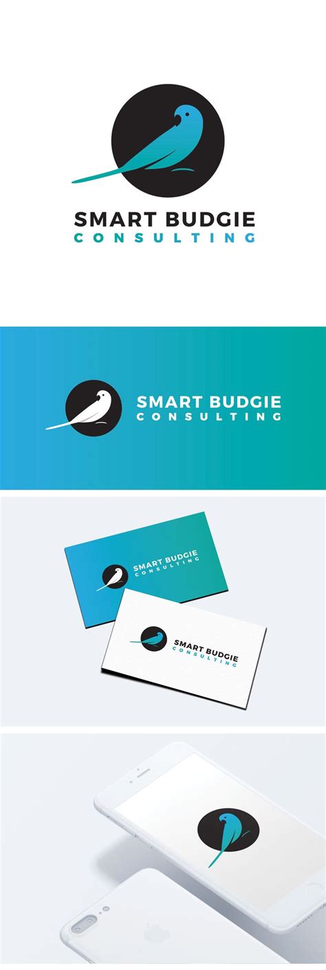 Bird Logo Branding And Logo Design For Smart Budgie Consulting