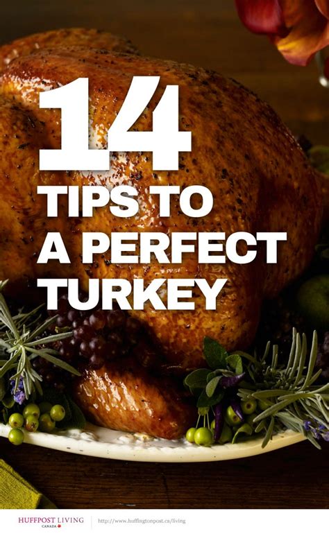 How To Cook A Perfect Turkey 14 Essential Tips Cooking Perfect Turkey Thanksgiving Recipes