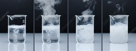 Calcium Reacts with Water - Stock Image - C030/7951 - Science Photo Library