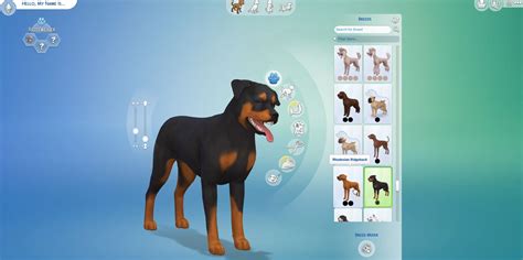 The Sims 4 Cats And Dogs 45 Create A Pet Screenshots Hq Simsvip