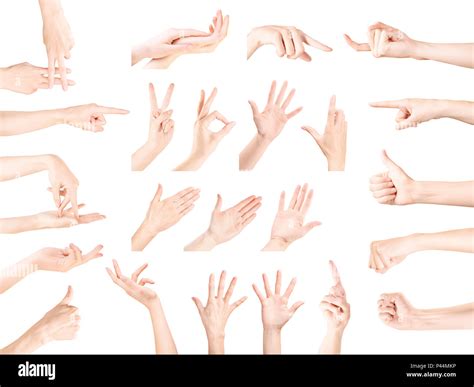 Multiple Woman Hand Gestures Collection Isolated On White Clipping