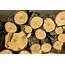 Wood Logs Image  Free Stock Photo Public Domain CC0 Images