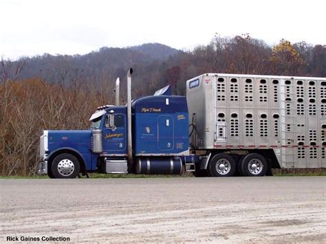 Blue Cattle Trucks New 2010 Peterbilt 389 Owned By Begley Lumber