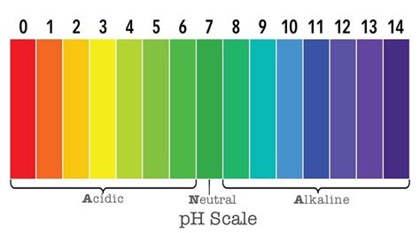 The Gallery For Ph Scale 1 14