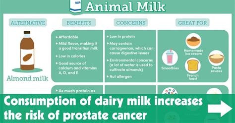 Consumption Of Dairy Milk Increases The Risk Of Prostate Cancer The Insight Post